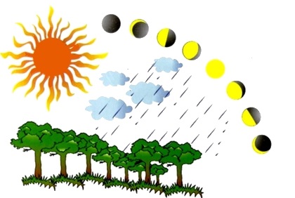 infuencia da lua e do sol na agricultura